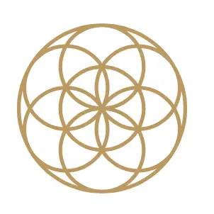 Seed of life
